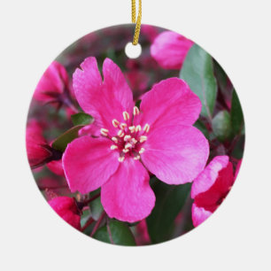 Ornamento De Cerâmica Caranguejo-Flor Rosa