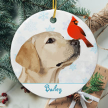 Cardeal de Natal do Laboratório Amarelo - Cão Labr