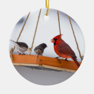 Ornamento De Cerâmica Cardeal e Juncos