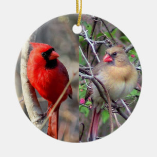 Ornamento De Cerâmica Cardinais bonitos