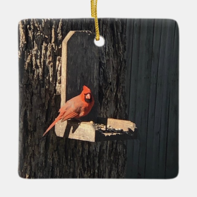 Ornamento De Cerâmica Cardinal (Frente)