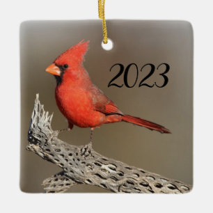 Ornamento De Cerâmica Cardinal em uma costela de cholla