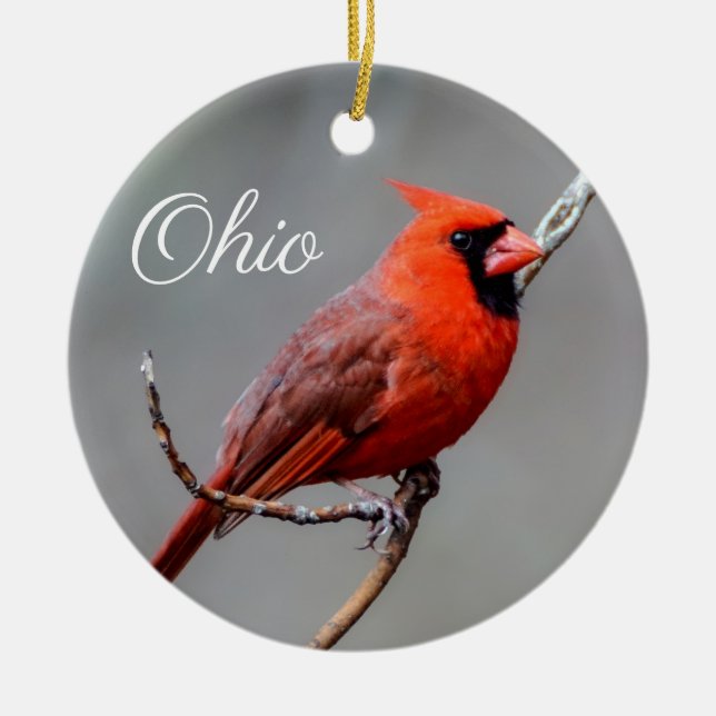Ornamento De Cerâmica Cardinal Ohio Ornament (Frente)