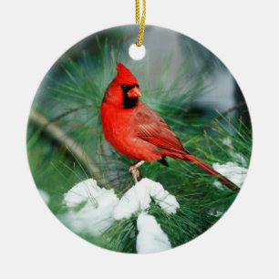 Ornamento De Cerâmica Cardinal-vermelho macho em árvore, IL