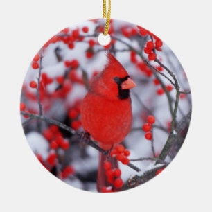 Ornamento De Cerâmica Cardinal-vermelho macho, Inverno, IL