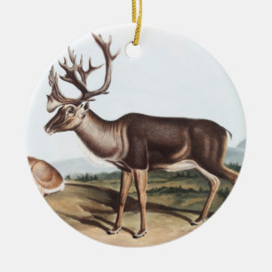 Ornamento De Cerâmica Cariou, American Rein Deer (Tarandus furcifer)