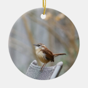 Ornamento De Cerâmica Carolina Wren