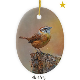 Ornamento De Cerâmica Carolina Wren Bird Pintando no Natal