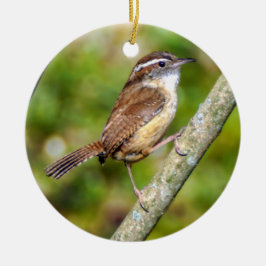 Ornamento De Cerâmica Carolina Wren Ornament