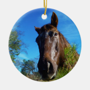 Ornamento De Cerâmica Castanho e Creme Corante Canto Azul