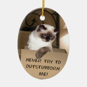 Ornamento De Cerâmica Cat in Box