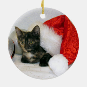 Ornamento De Cerâmica Cat, Kitten, Natal, Resgate