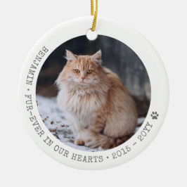 Ornamento De Cerâmica Cat Photo Pet Passando Memorial Personalizado