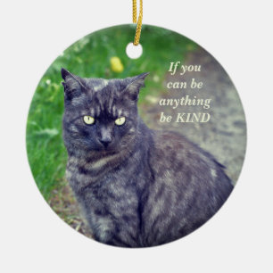 Ornamento De Cerâmica Cat Posicionando em uma Motivação de Caminhada