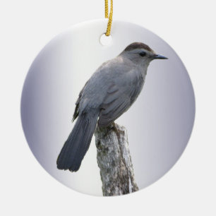 Ornamento De Cerâmica Catbird