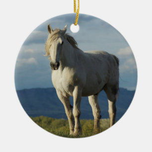 Ornamento De Cerâmica Cavaleiro dos sonhos