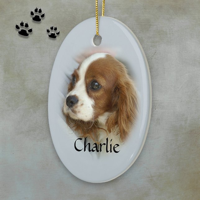 Ornamento De Cerâmica Cavalier King Charles Spaniel (Criador carregado)