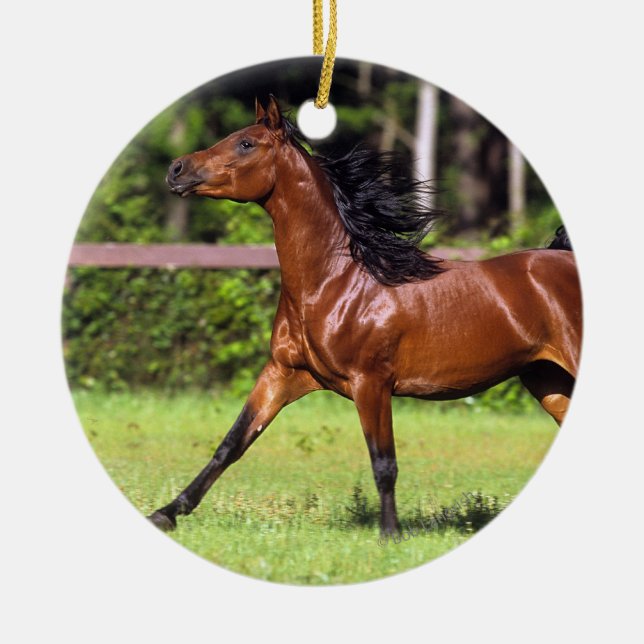 Ornamento De Cerâmica Cavalo árabe que funciona 2 (Frente)