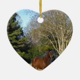 Ornamento De Cerâmica Cavalo castanho contra cerca