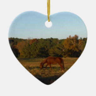 Ornamento De Cerâmica Cavalo castanho no Sol