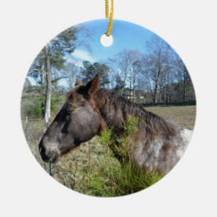 Ornamento De Cerâmica Cavalo Colorido de Coco e Creme