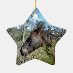 Ornamento De Cerâmica Cavalo Colorido de Coco e Creme