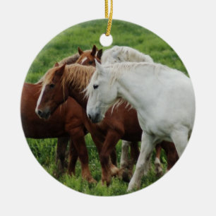 Ornamento De Cerâmica Cavalo de esboço
