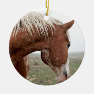 Ornamento De Cerâmica Cavalo de esboço na névoa - ocidental