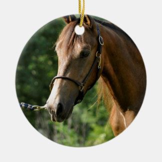 Ornamento De Cerâmica Cavalo de Morgan do Buckskin