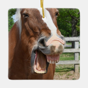 Ornamento De Cerâmica Cavalo de riso engraçado