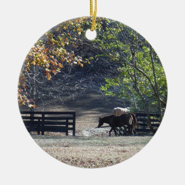 Ornamento De Cerâmica Cavalo Marrom andando pela cerca (Frente)