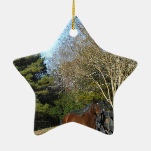 Ornamento De Cerâmica Cavalo Marrom Contra uma Cerca