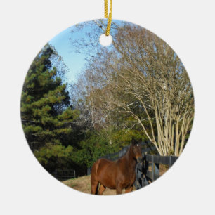 Ornamento De Cerâmica Cavalo Marrom Contra uma Cerca