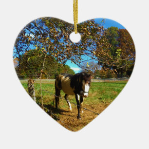 Ornamento De Cerâmica Cavalo Pintado,