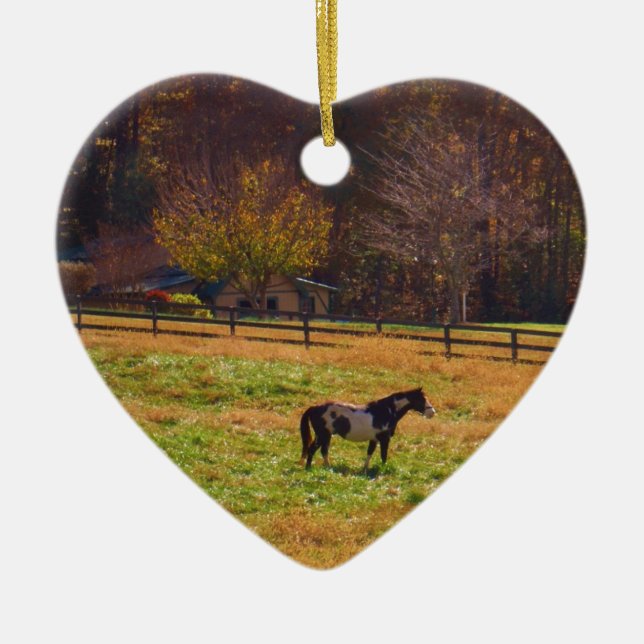 Ornamento De Cerâmica Cavalo Pintado à Distância (Frente)