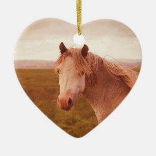 Ornamento De Cerâmica Cavalo selvagem do Vintage