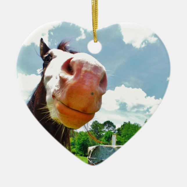 Ornamento De Cerâmica Cavalo Sorridente (Frente)