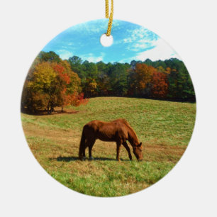 Ornamento De Cerâmica Cavalo Vermelho Castanho, céu azul Teal