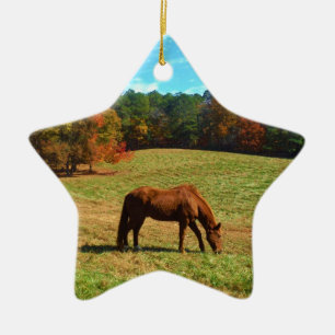 Ornamento De Cerâmica Cavalo Vermelho Castanho, céu azul Teal