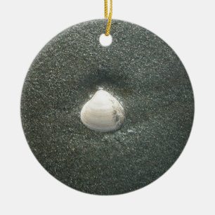 Ornamento De Cerâmica Célula na Areia: Um Souvenir Salgado