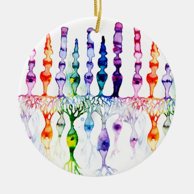 Ornamento De Cerâmica Células de cone e neurônio bipolar da retina (Frente)