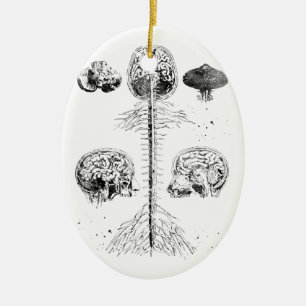Ornamento De Cerâmica Cérebro e espinha