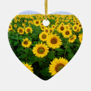 Ornamento De Cerâmica Céu azul do campo amarelo do girassol