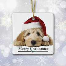 Chapéu de Papai Noel Cachorro Goldendoodle Feliz N