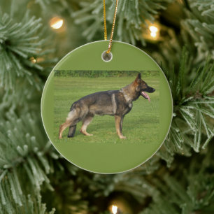 Ornamento De Cerâmica Cheio de german shepherd
