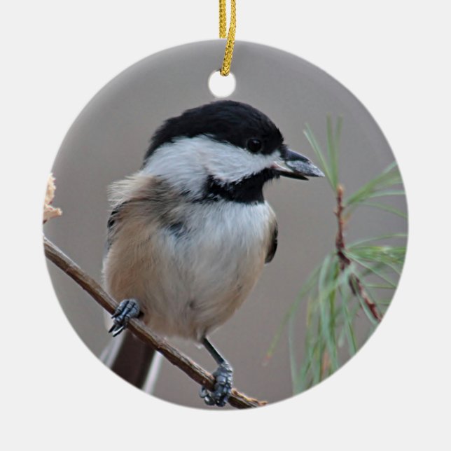 Ornamento De Cerâmica Chickadee (Frente)