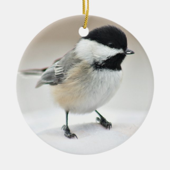 Ornamento De Cerâmica Chickadee (Frente)