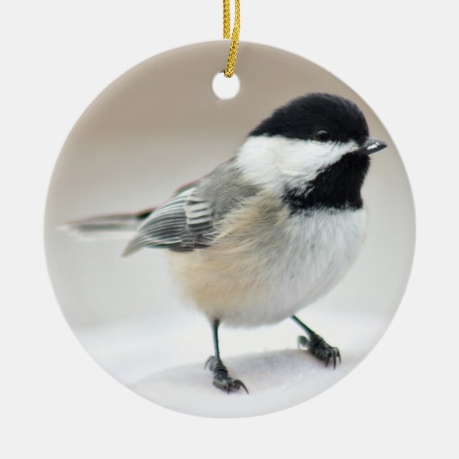 Ornamento De Cerâmica Chickadee (Frente)