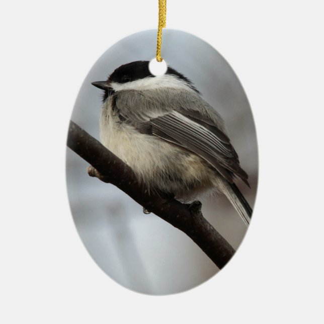 Ornamento De Cerâmica Chickadee tampado preto (Frente)