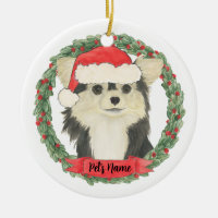 Chihuahua de Longa Distância e Preto Personalizado